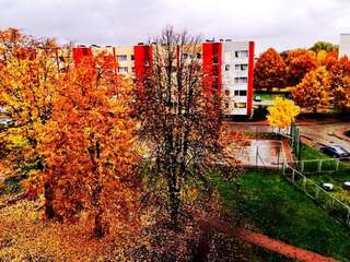 Апартаменты Apartment 17 - up to 4 persons - couple with 1 kid and 1 infant Вентспилс Апартаменты-79